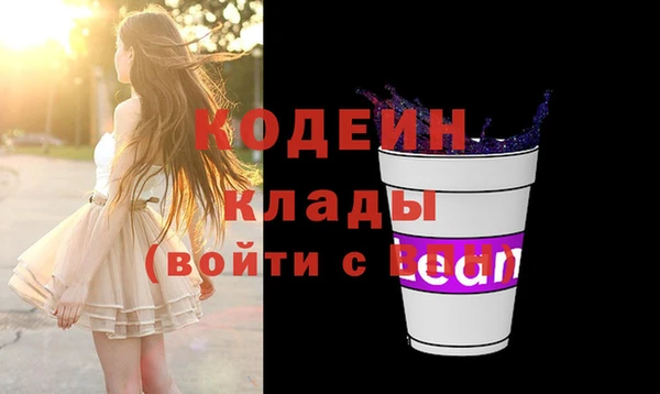 крисы Верхний Тагил