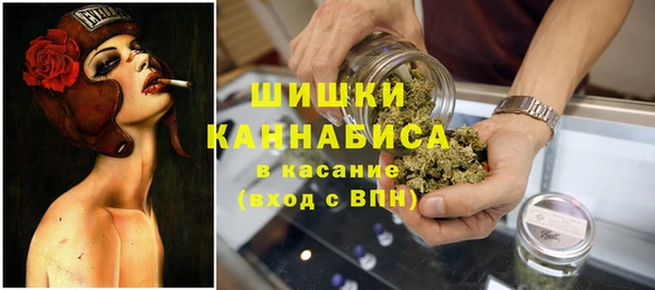 сатива Верхнеуральск