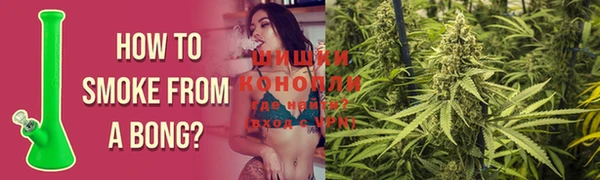 крисы Верхний Тагил